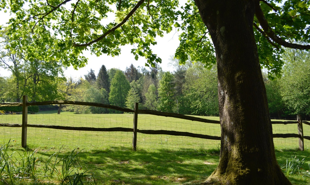 View over Fields