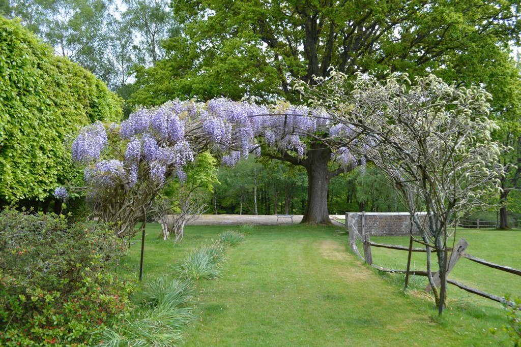 View of Existing Pergola Arch