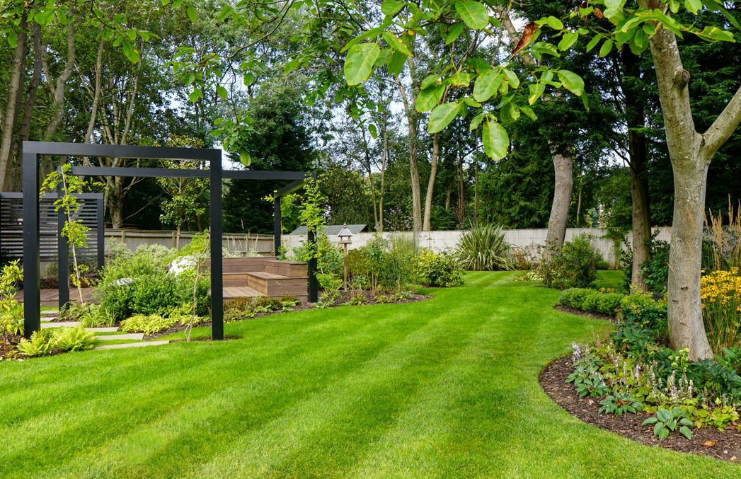 Lawn with precisely cut stripes, showing a well-maintained yard.